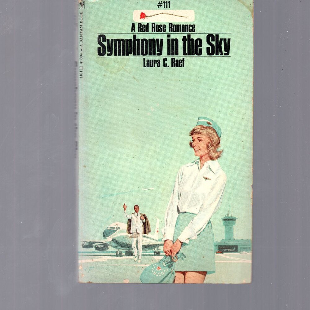 Vintage Early 1970s Romance novel - Symphony In The Sky